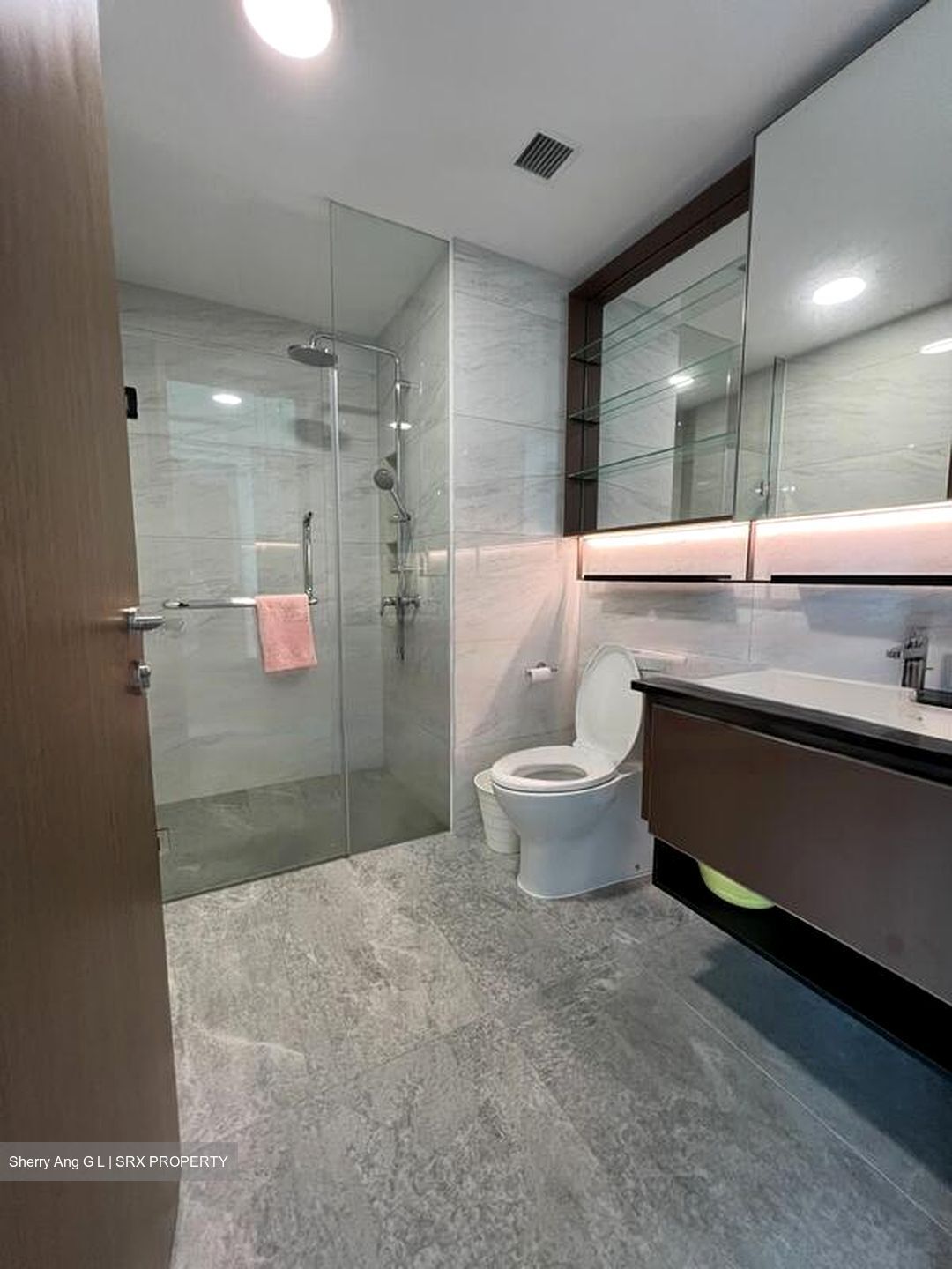 Normanton Park (D5), Apartment #458470701